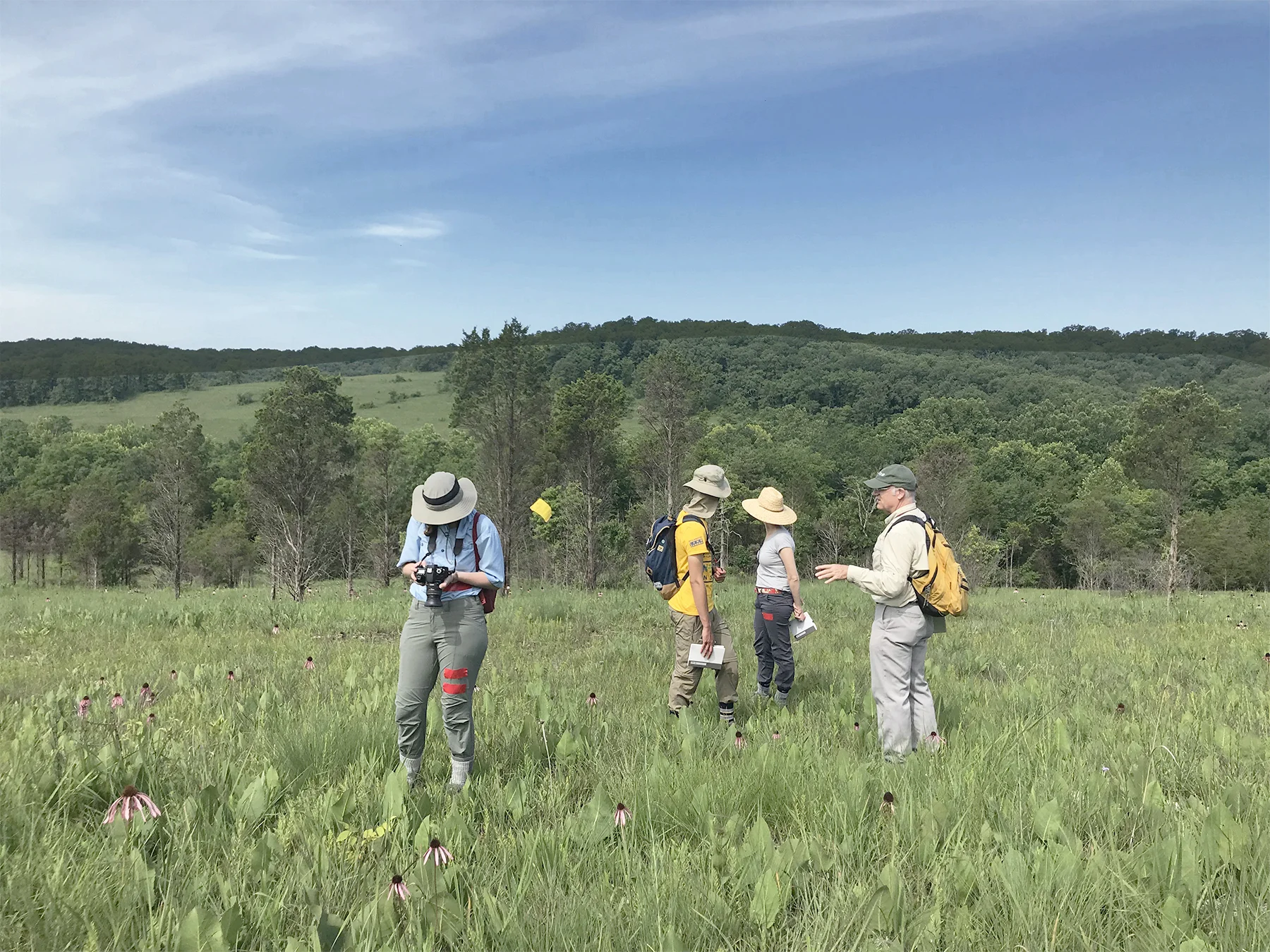 From left to right: Brooke Bulmash, Jacob Longmeyer, Alisa Blatter, and Doug Ladd—our botanist advisor and also the former Missouri Director of The Nature Conservancy. Doug was instrumental in preserving the Victoria Glades, a remnant ecosystem conserved in two tracts operated by The Nature Conservancy and the Missouri Department of Conservation.