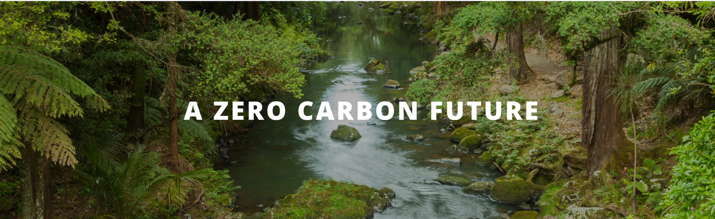 zero carbon.png