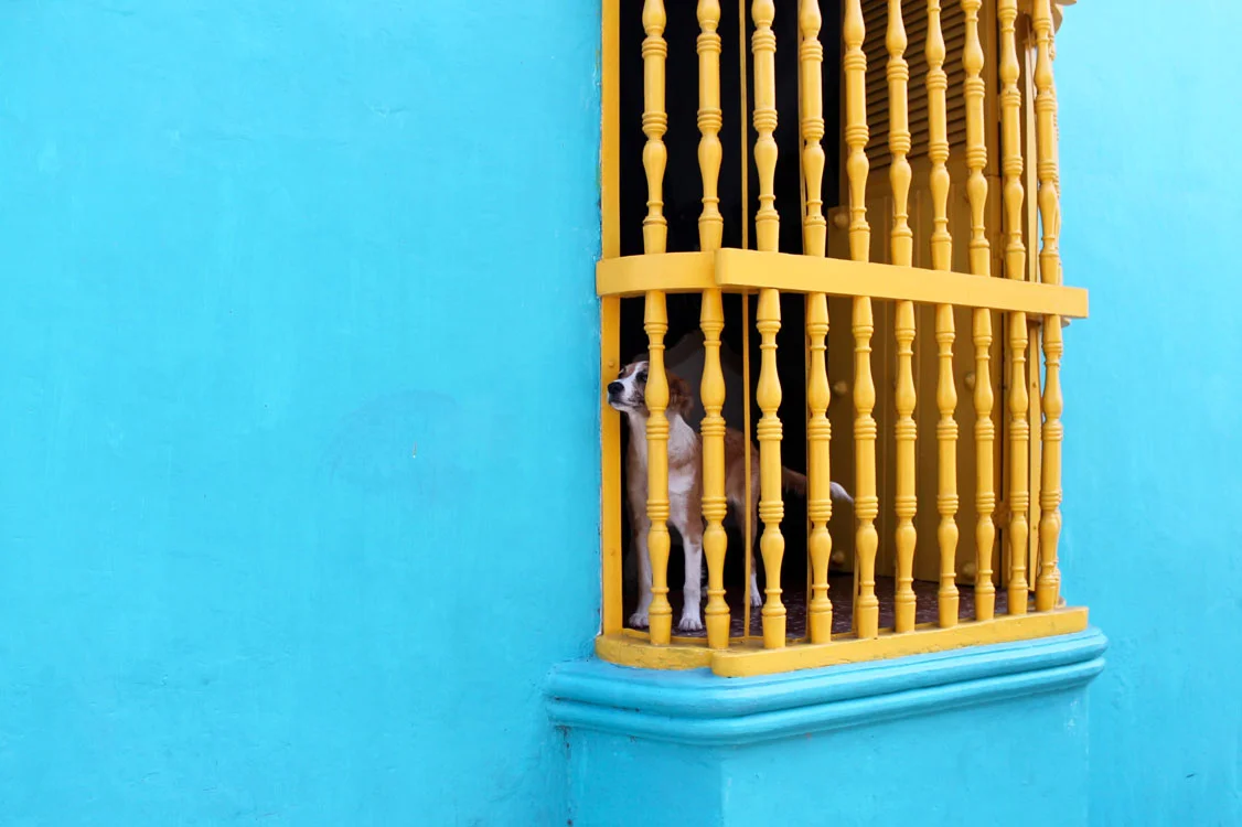 Melina-Peterson-Photography-5th-Floor-Walk-Up-Blog_5443.jpg