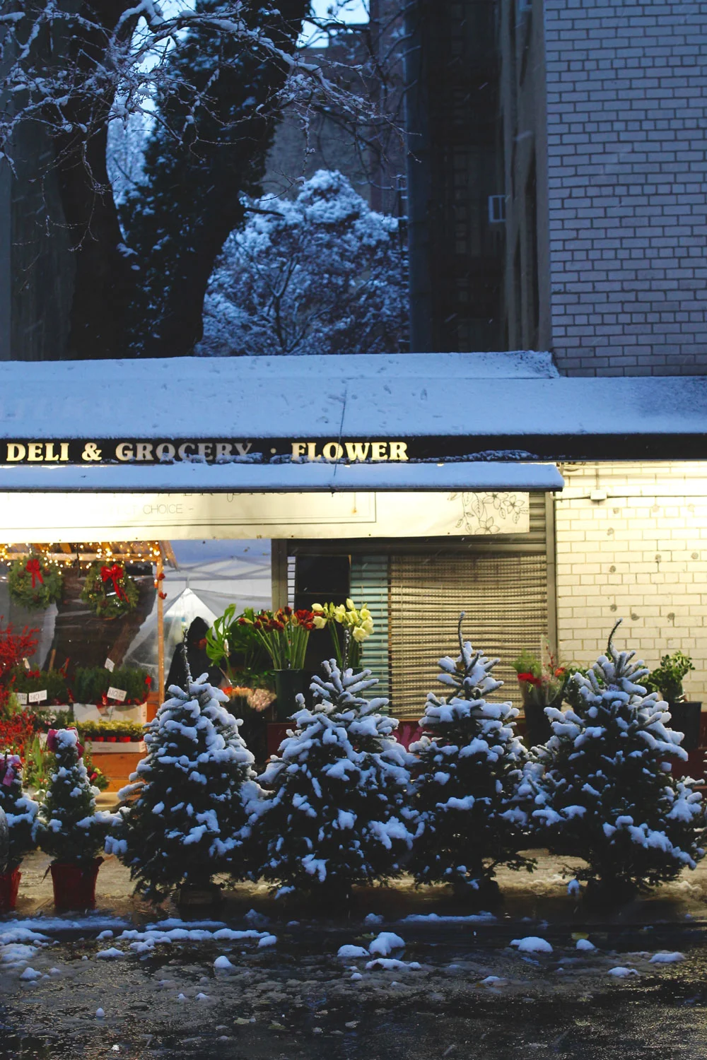 First-NYC-Snow-by-Melina-Peterson-via-5thfloorwalkup.com.jpg
