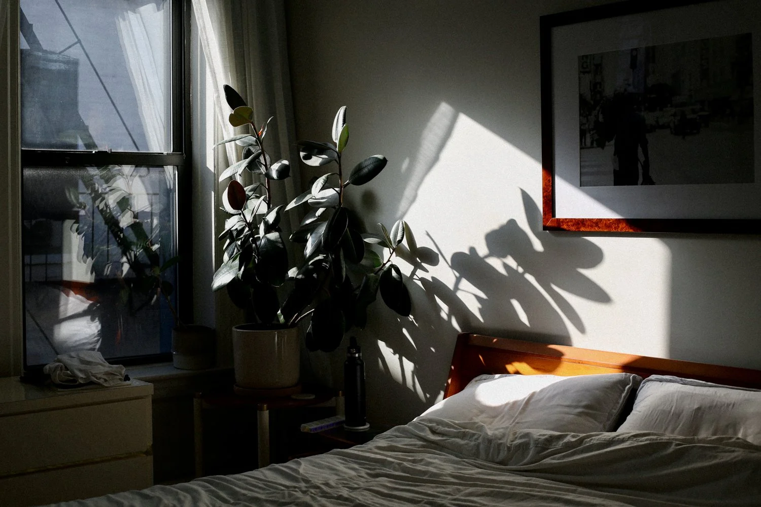 Melina-Peterson-photography.jpg