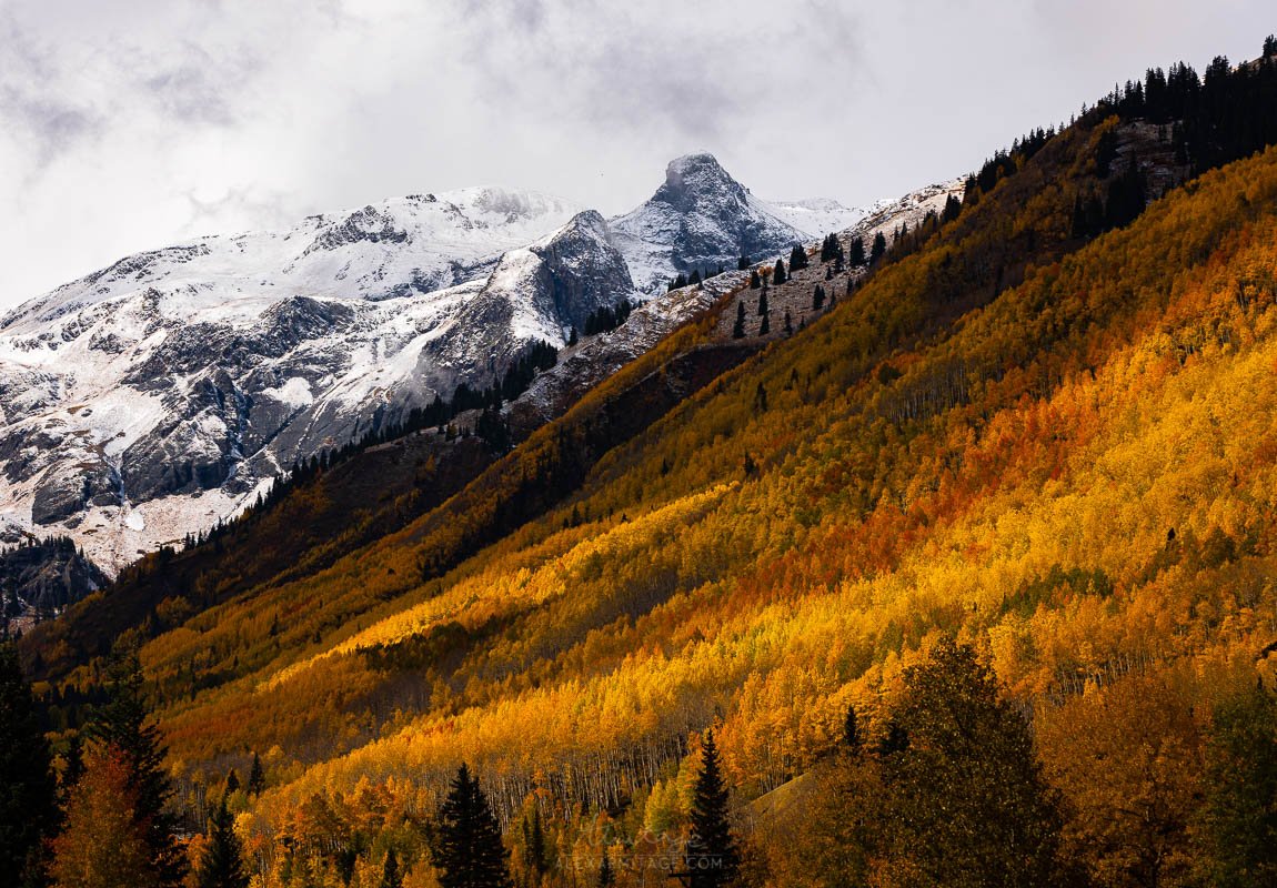 2022-fall-color-workshop-colorado-9.jpg