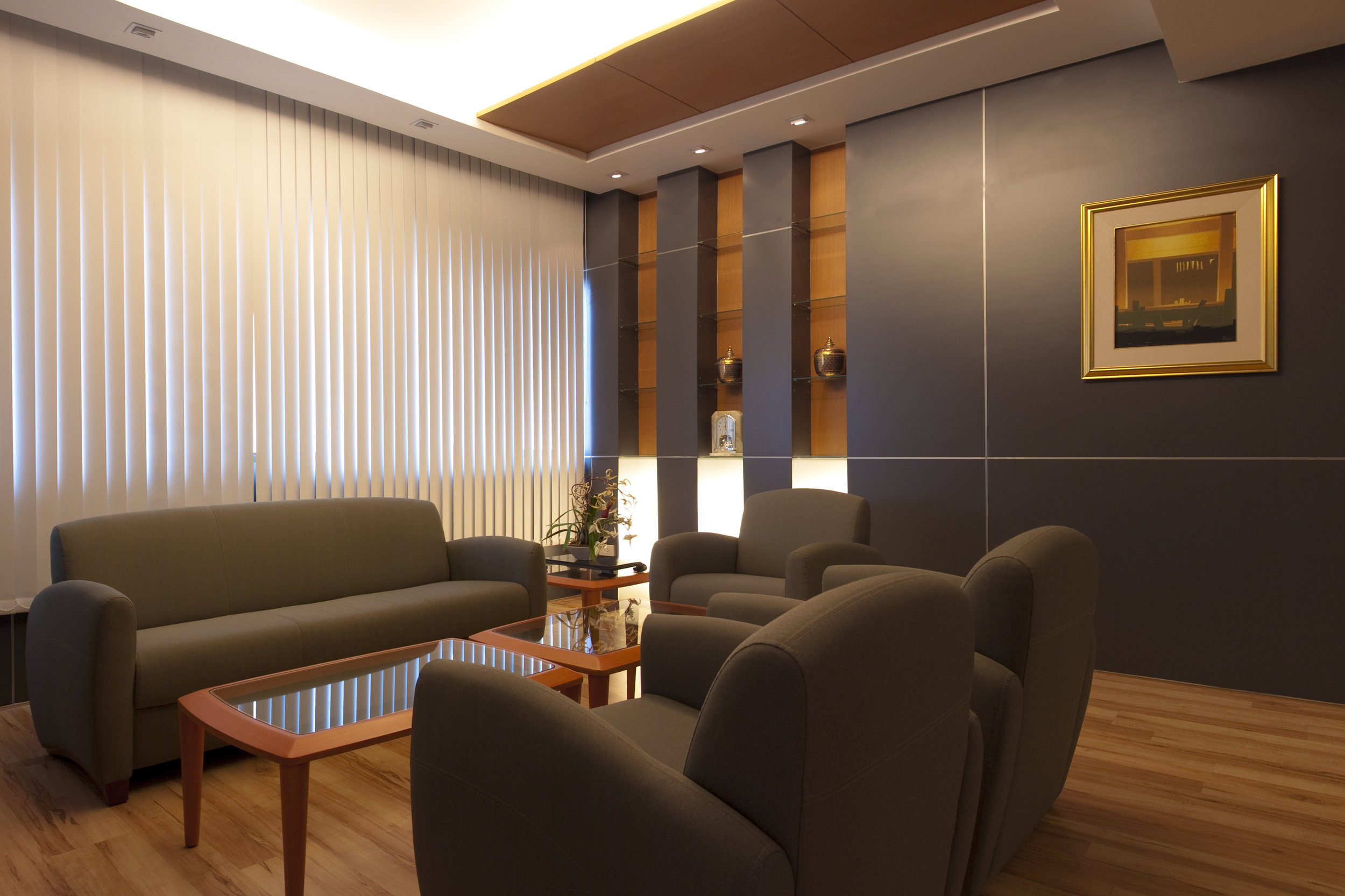 Vertical Blind Office.jpeg