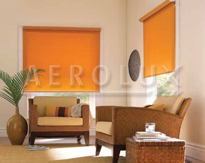 The Roller Shade