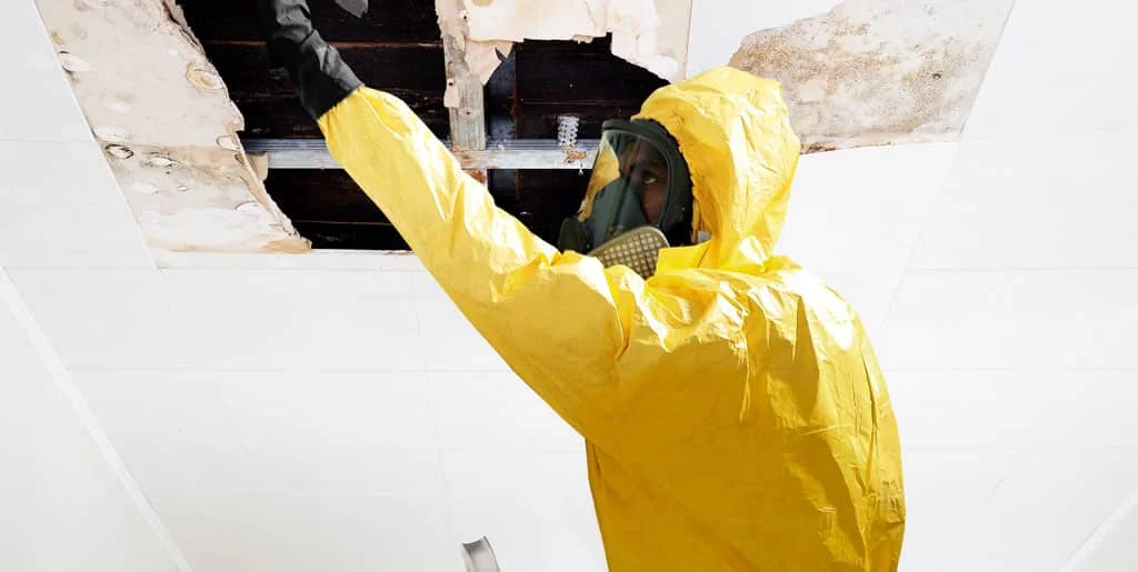 Chemcare’s other decontamination services
