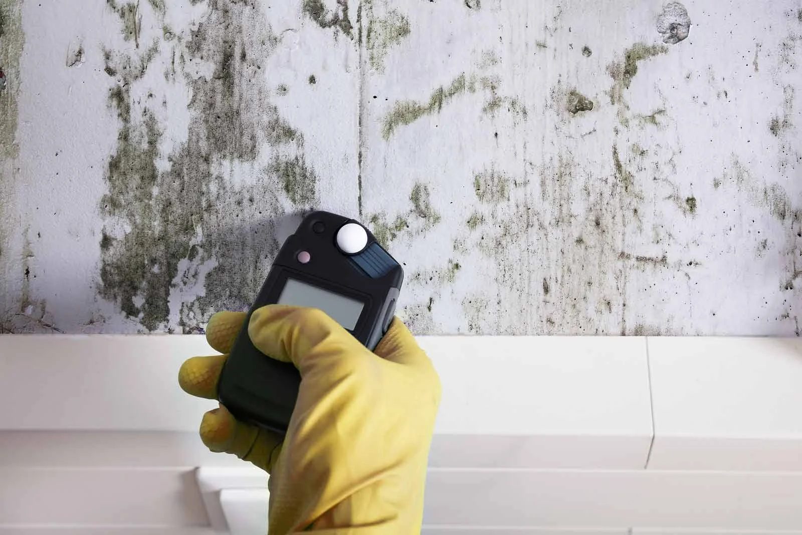 Gloved hand testing moisture levels in mouldy wall