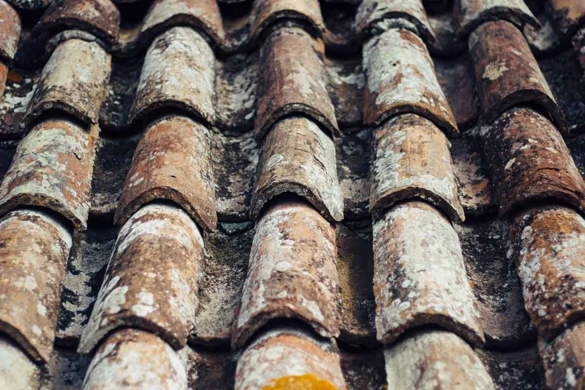 6 common asbestos myths busted