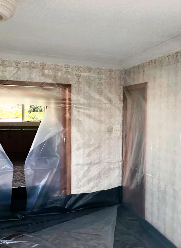 Ceiling-removal.jpg