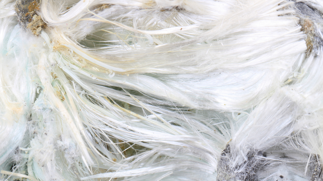 The difference between serpentine and amphibole asbestos groups