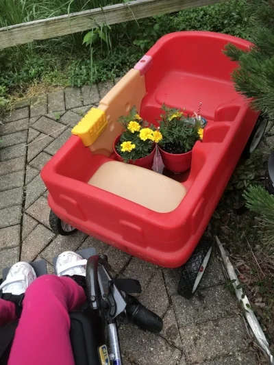 Happiness delivery.jpg