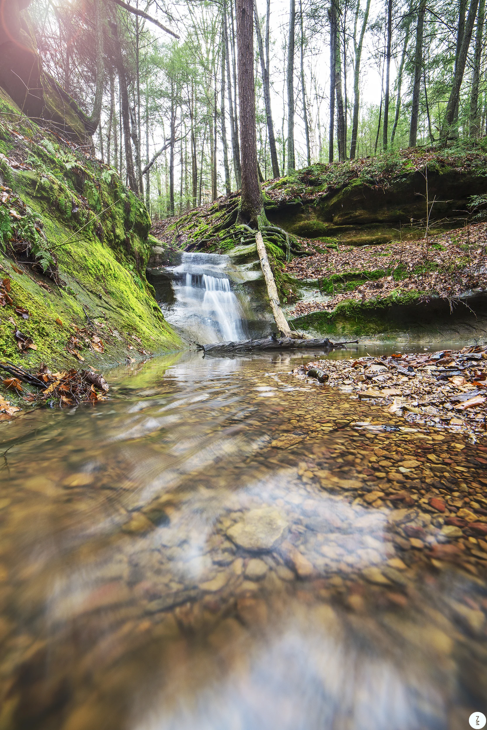 Water Fall 2017