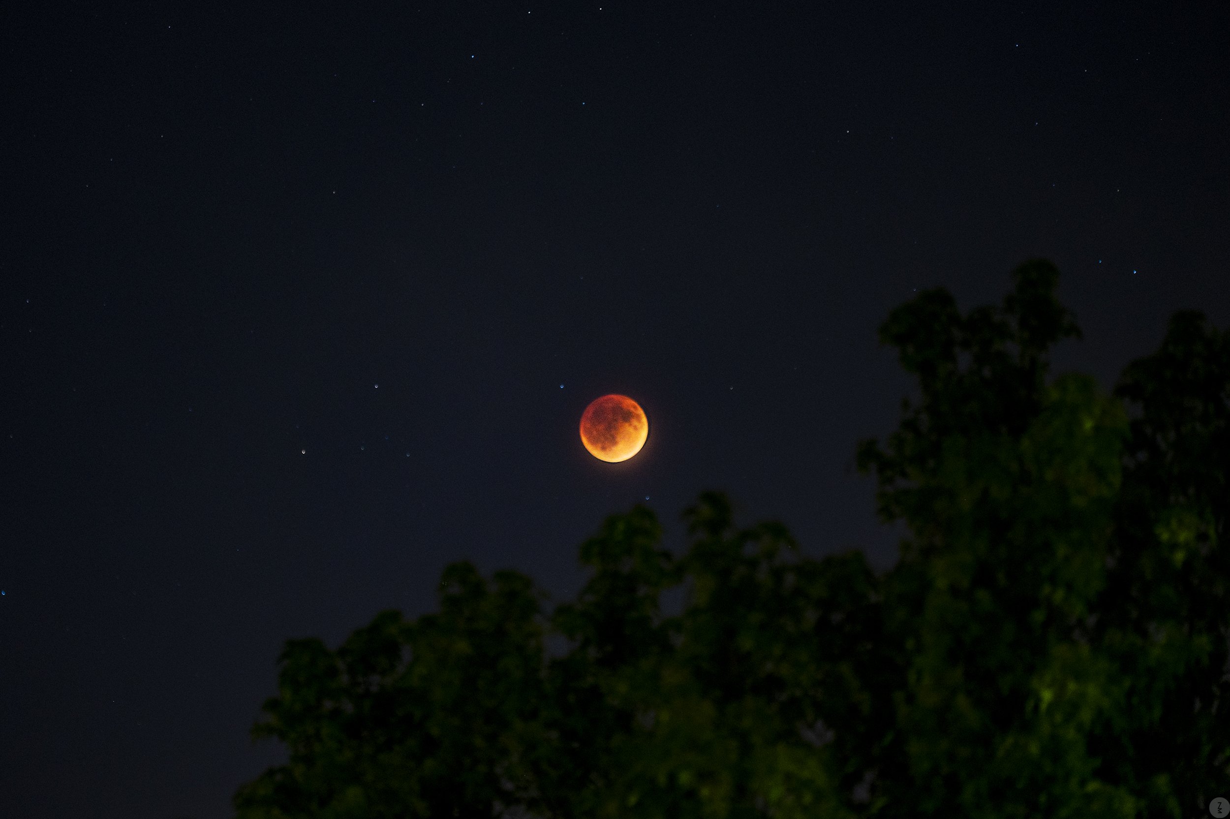 blood moon sharp ZM ZMP_4733-2.jpg