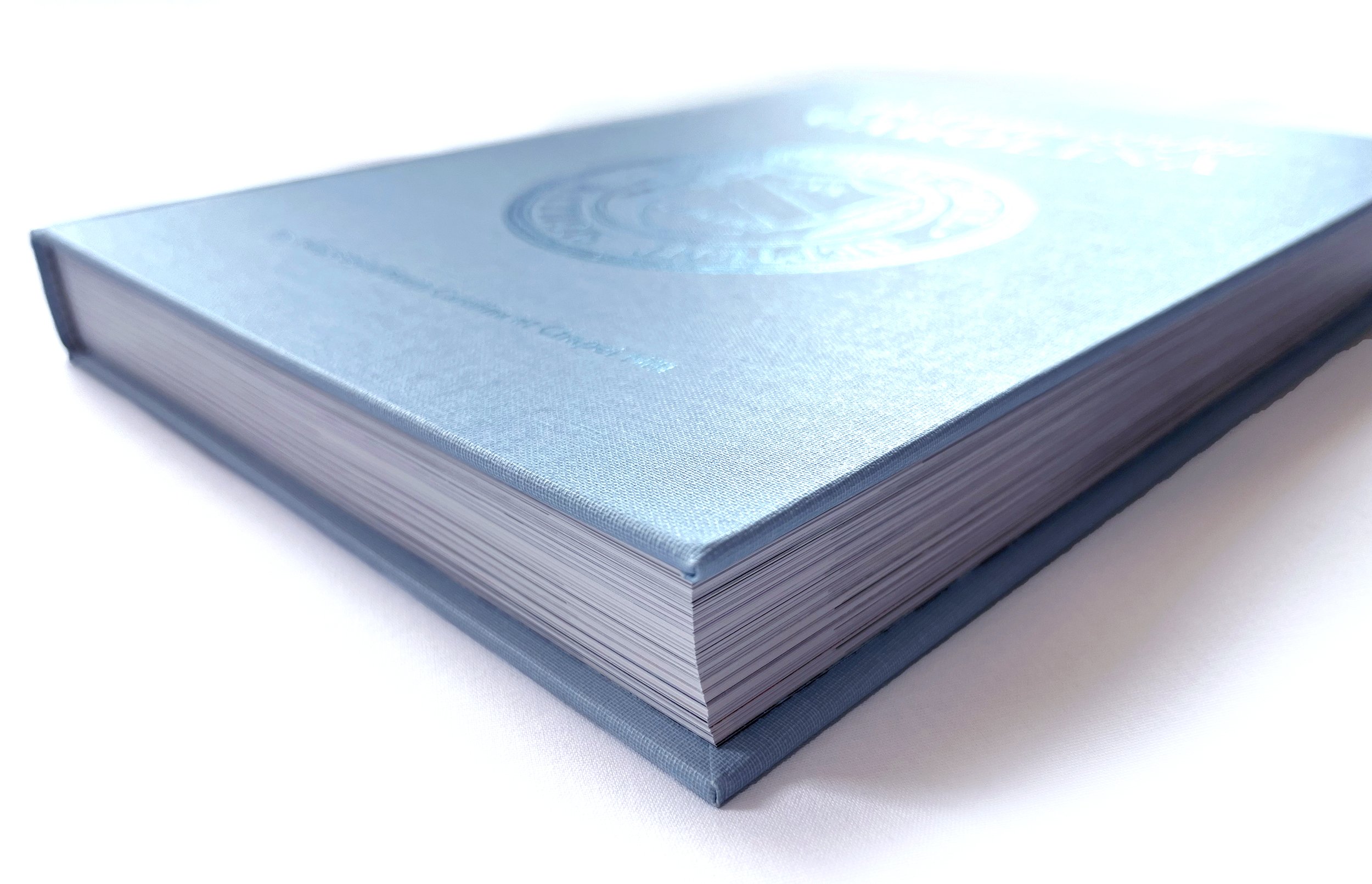 book cover more blue.jpg