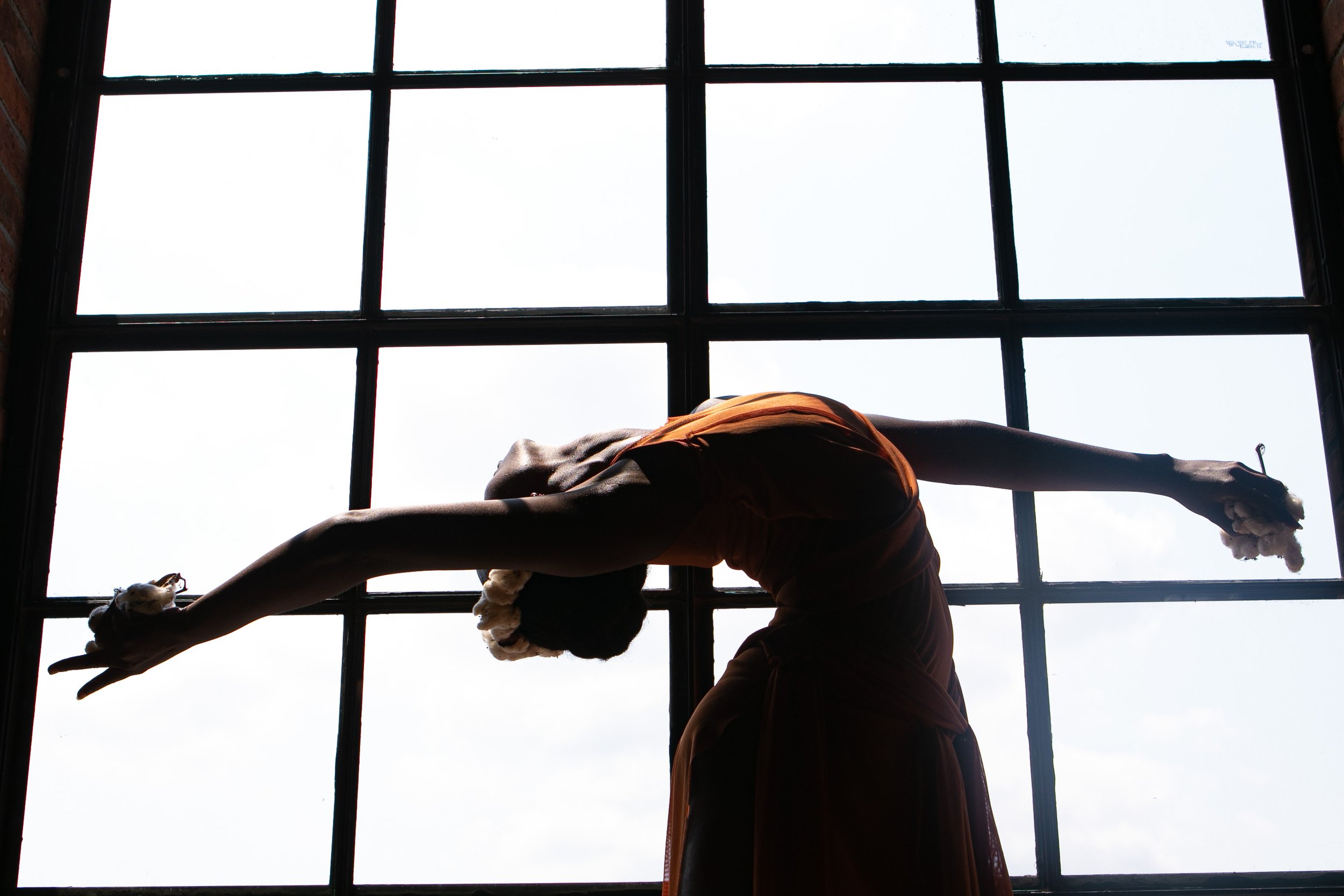  The Cotton Series Film  Photo by Maria J. Hackett  