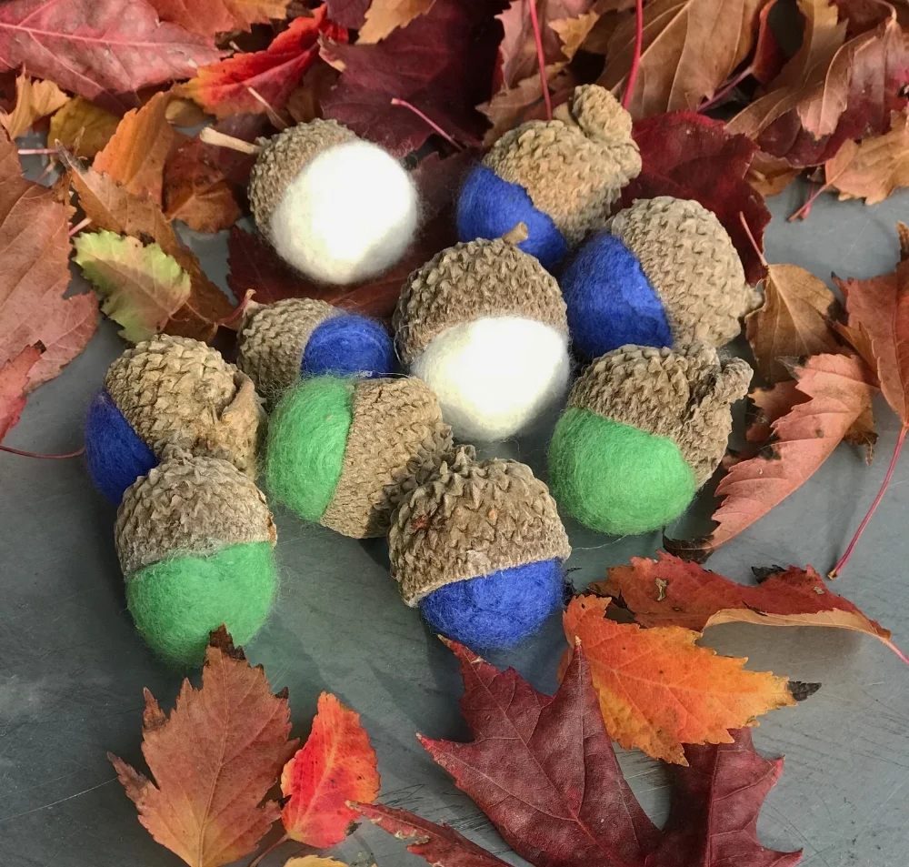 Acorns1.jpg