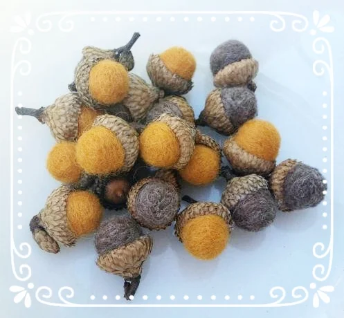 fall acorns.jpg