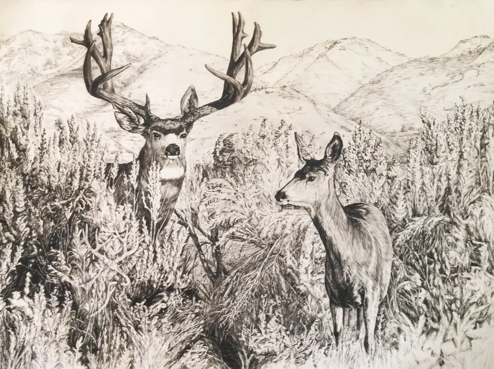Seth-Deer.jpg