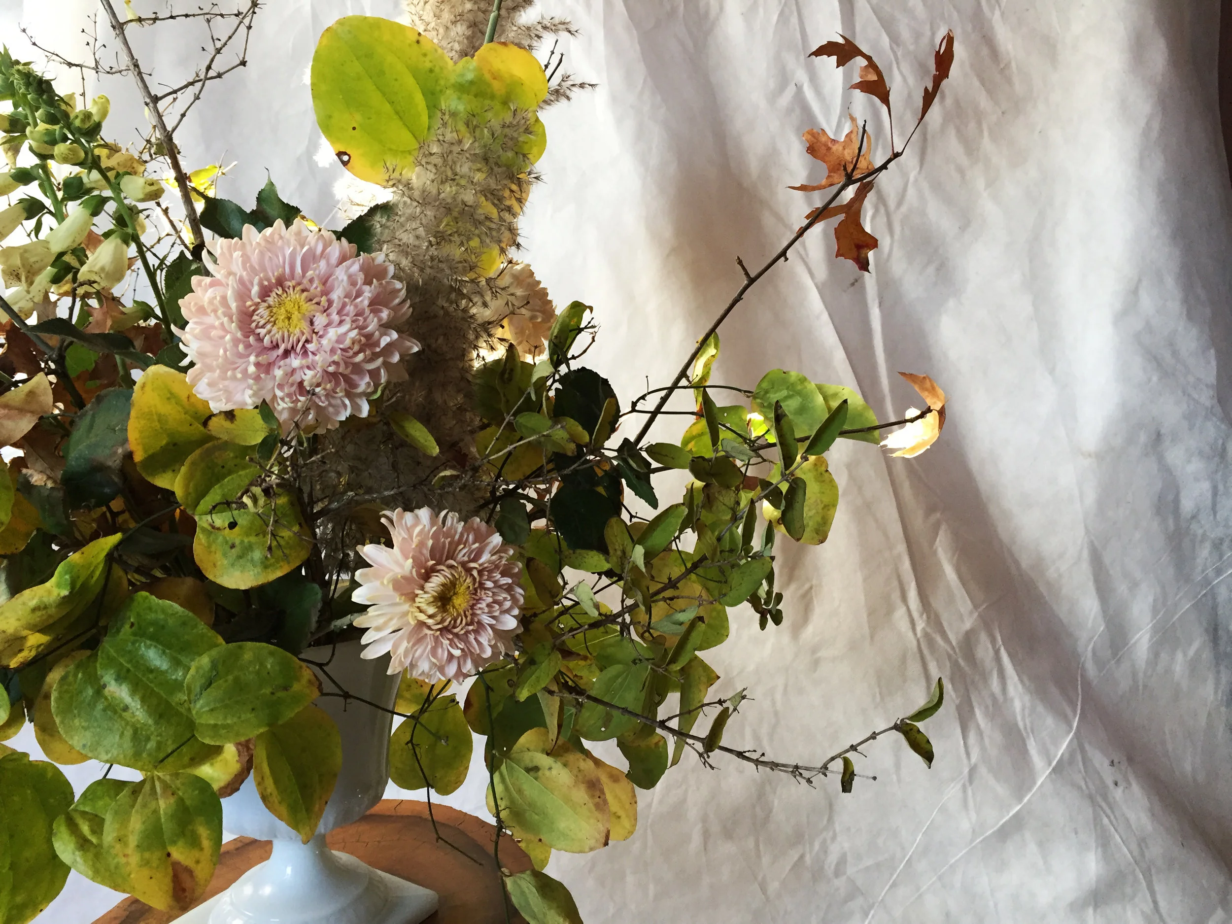 Marilla Field & Flora