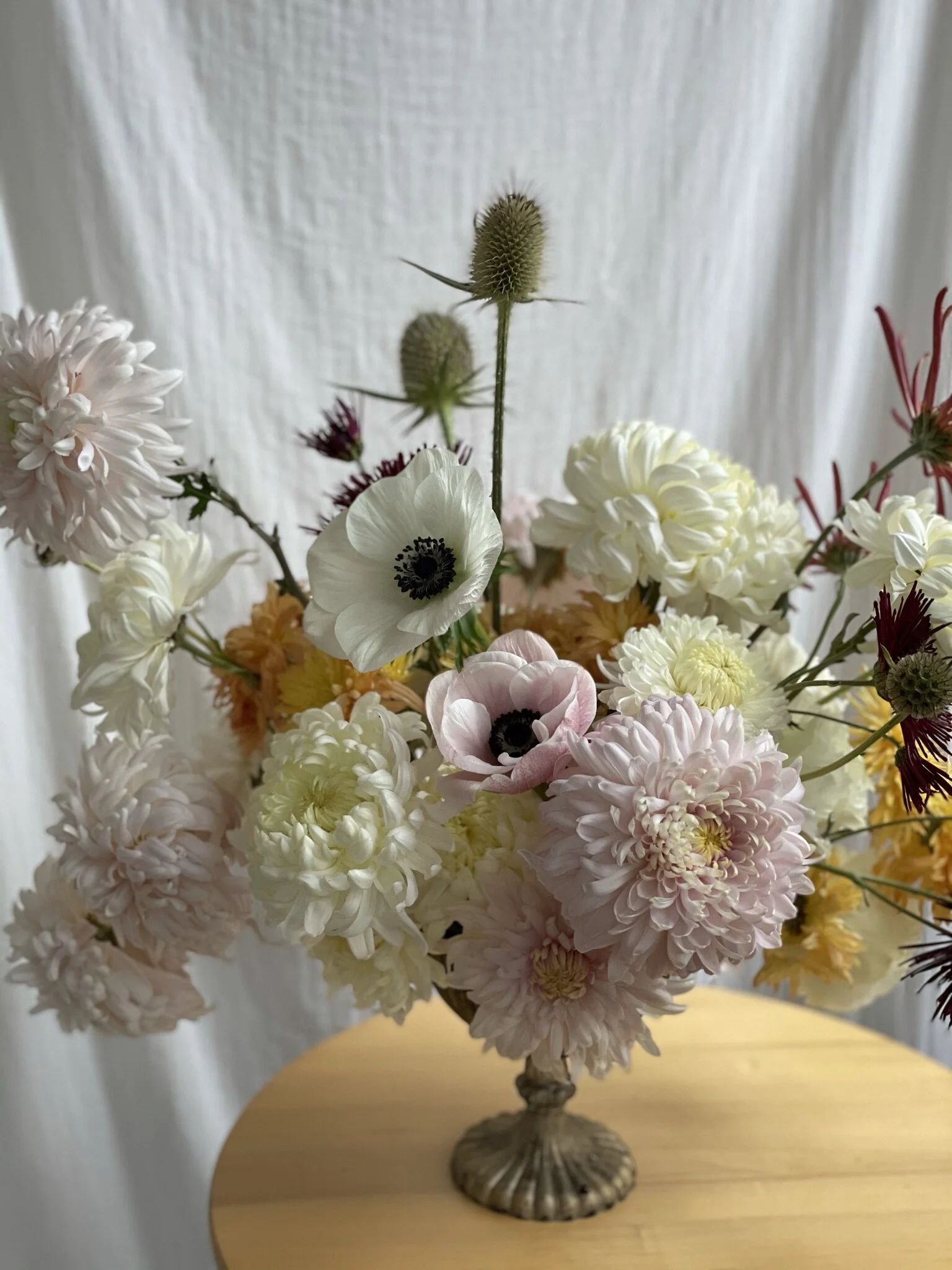 Marilla Field & Flora