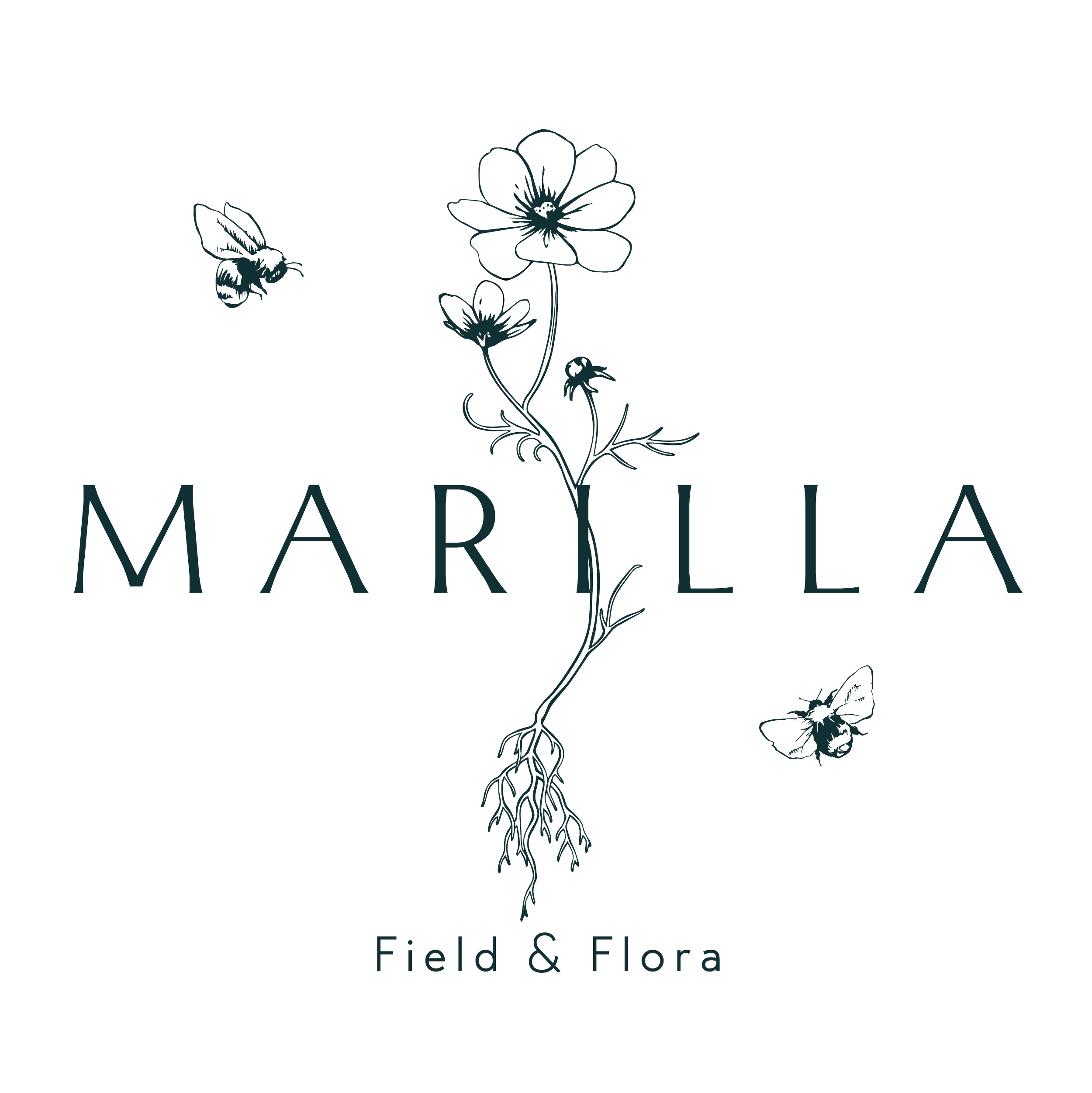 24 logo final square.png