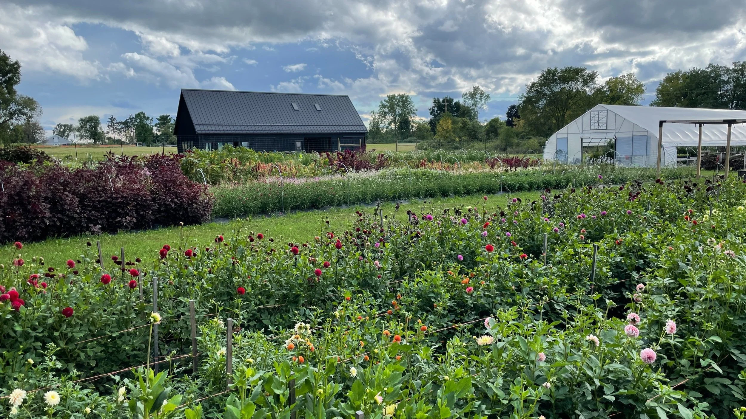 Contact — Marilla Field & Flora