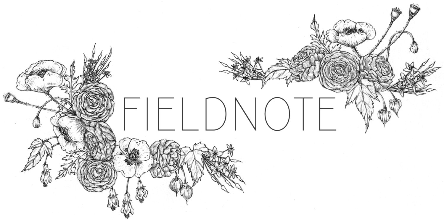 fieldnote floral