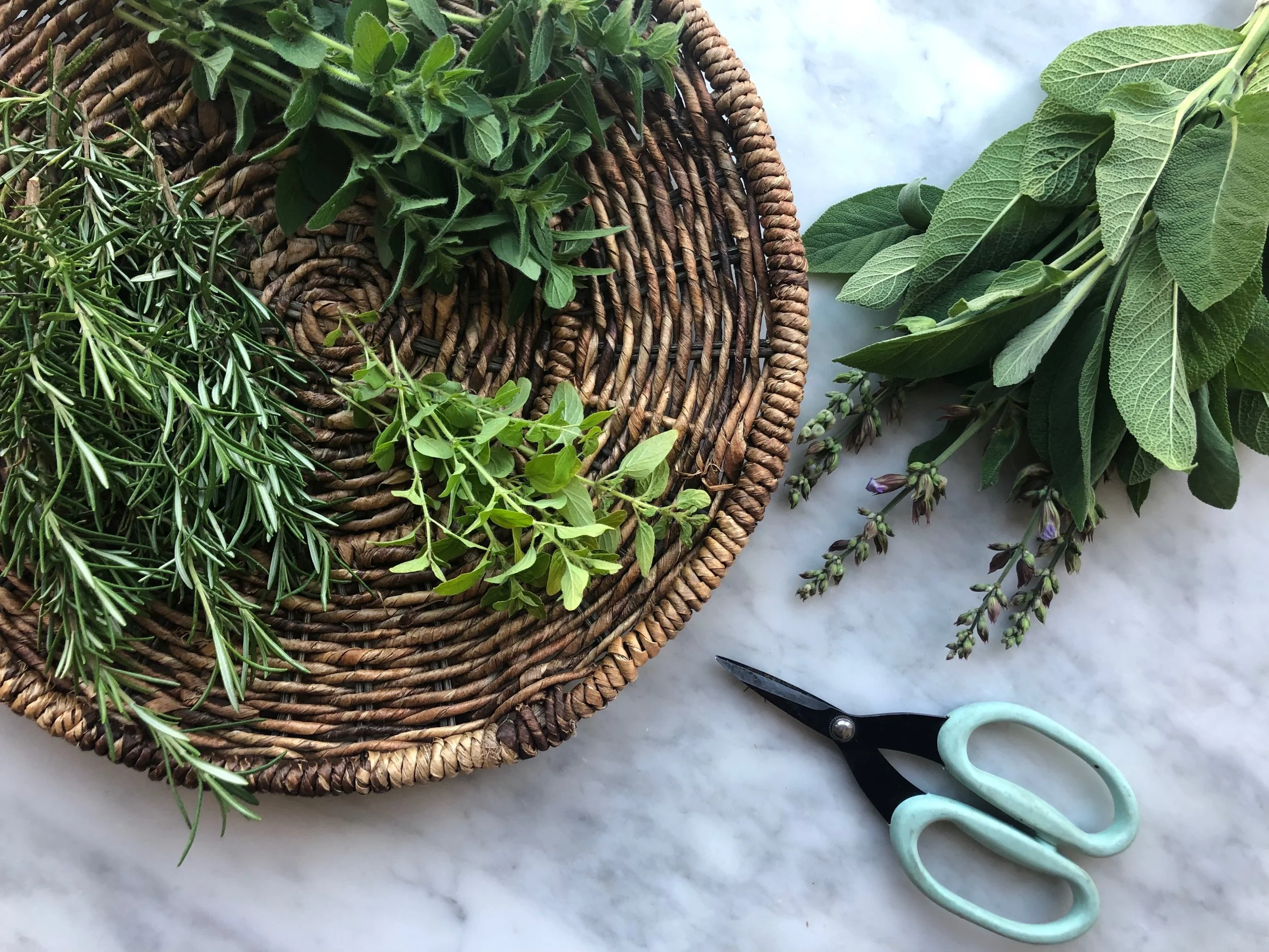 The Edible Backyard Garden