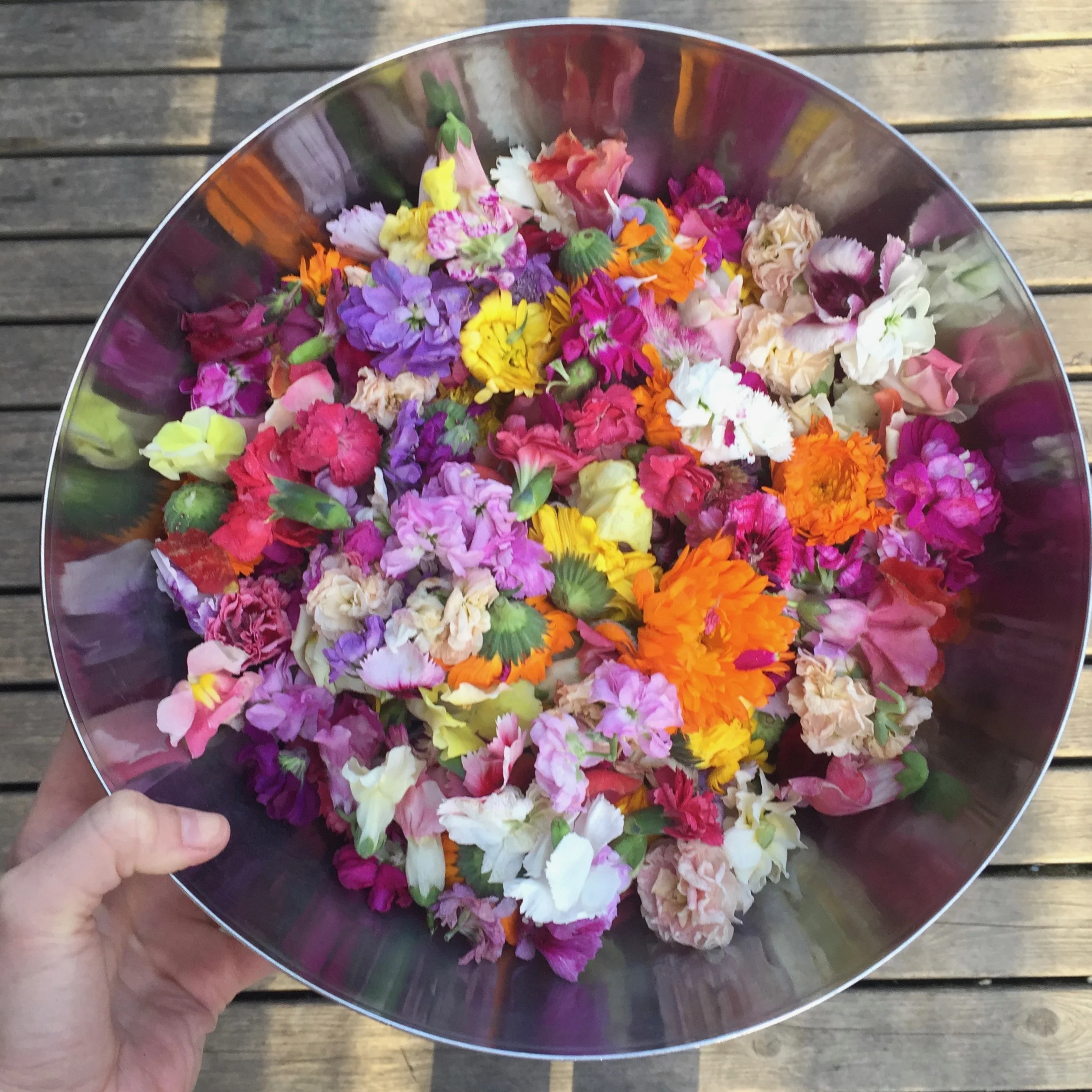 The Edible Backyard Garden