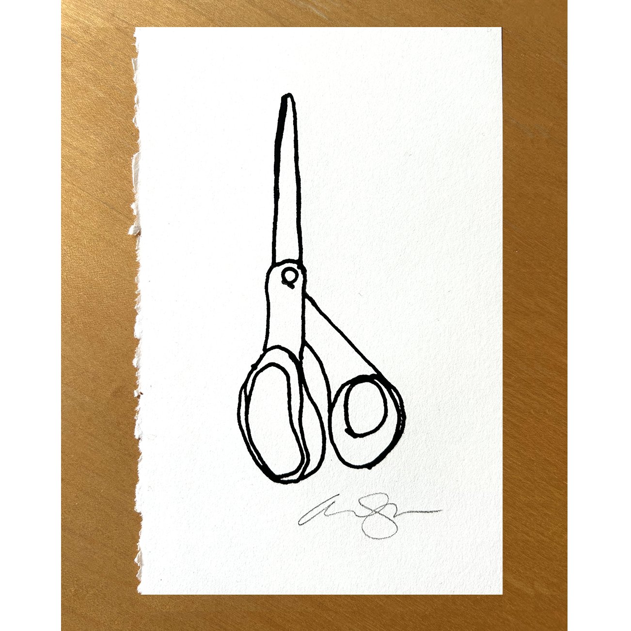 B+W Scissors April 2026.jpg