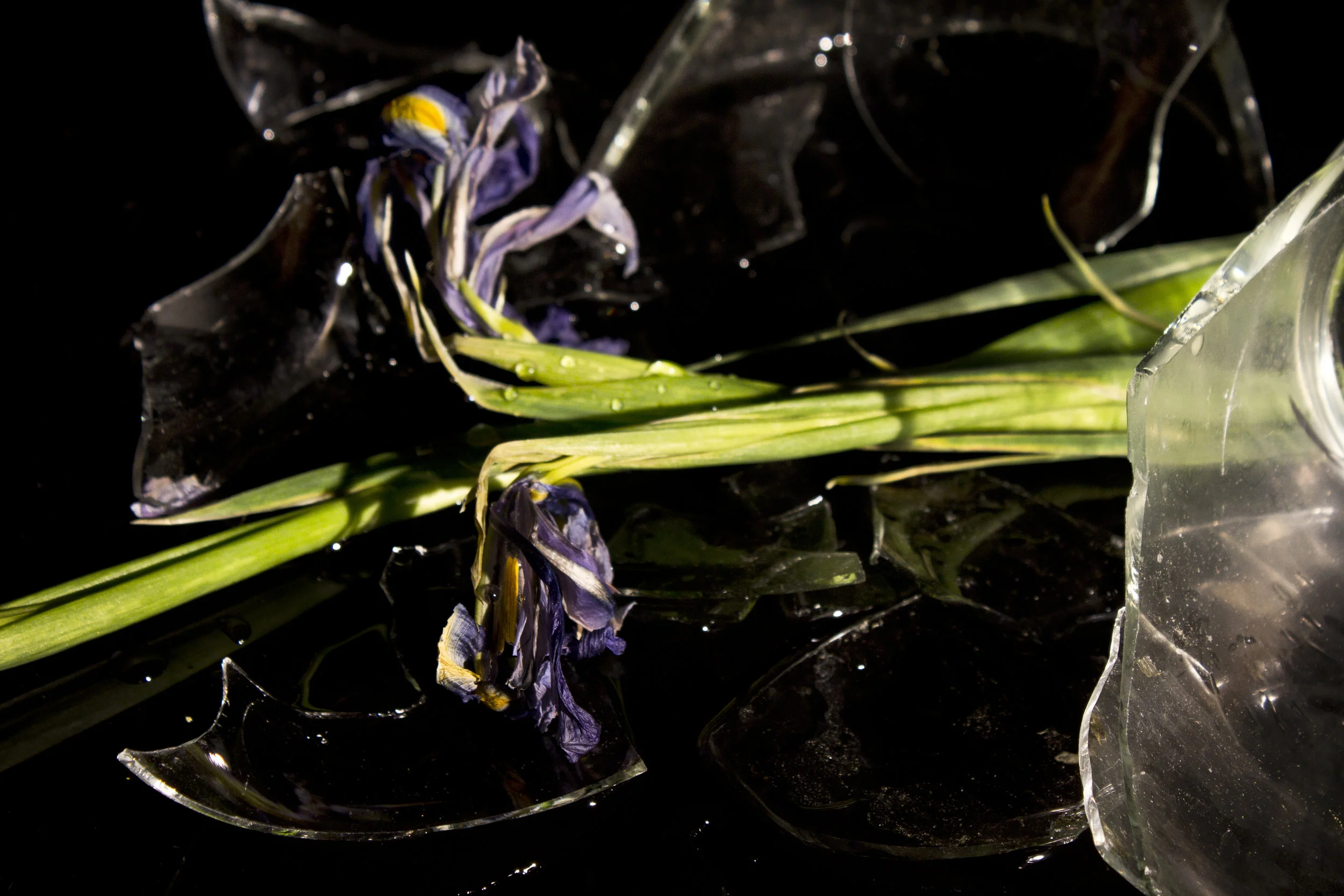 digfinalpt2_26 as Smart Object-1.jpg