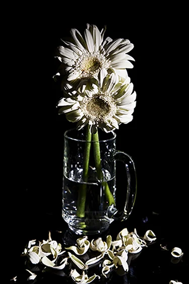 flowersketa 0043.jpg