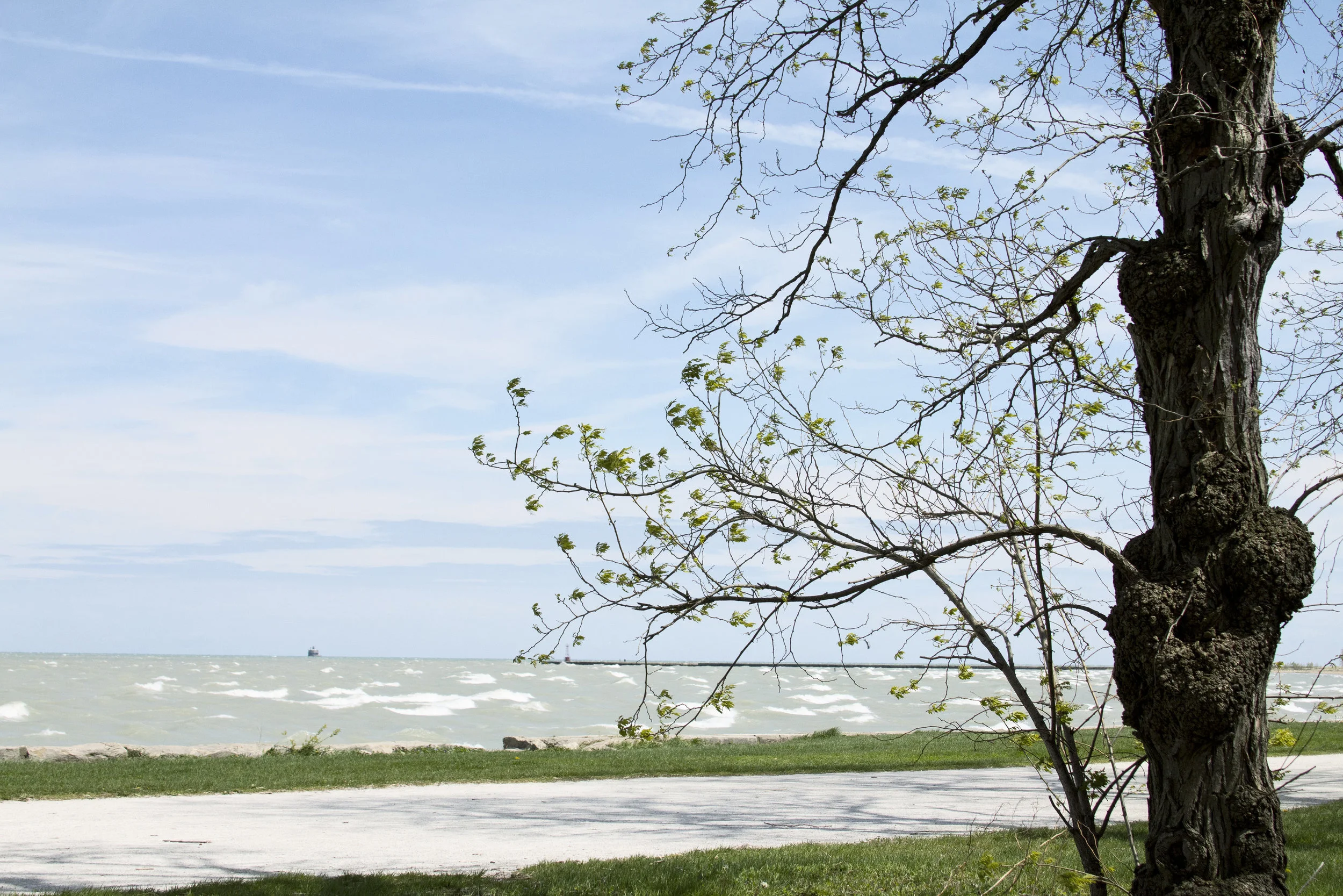 IMG_0836 as Smart Object-1.jpg