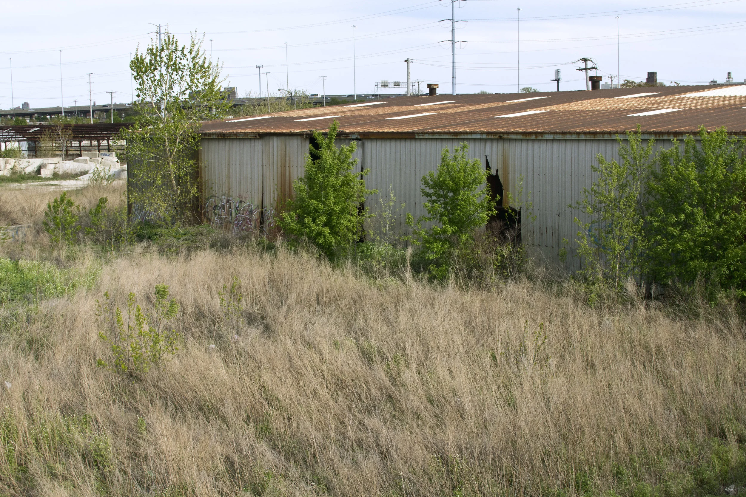 IMG_0816 as Smart Object-1.jpg