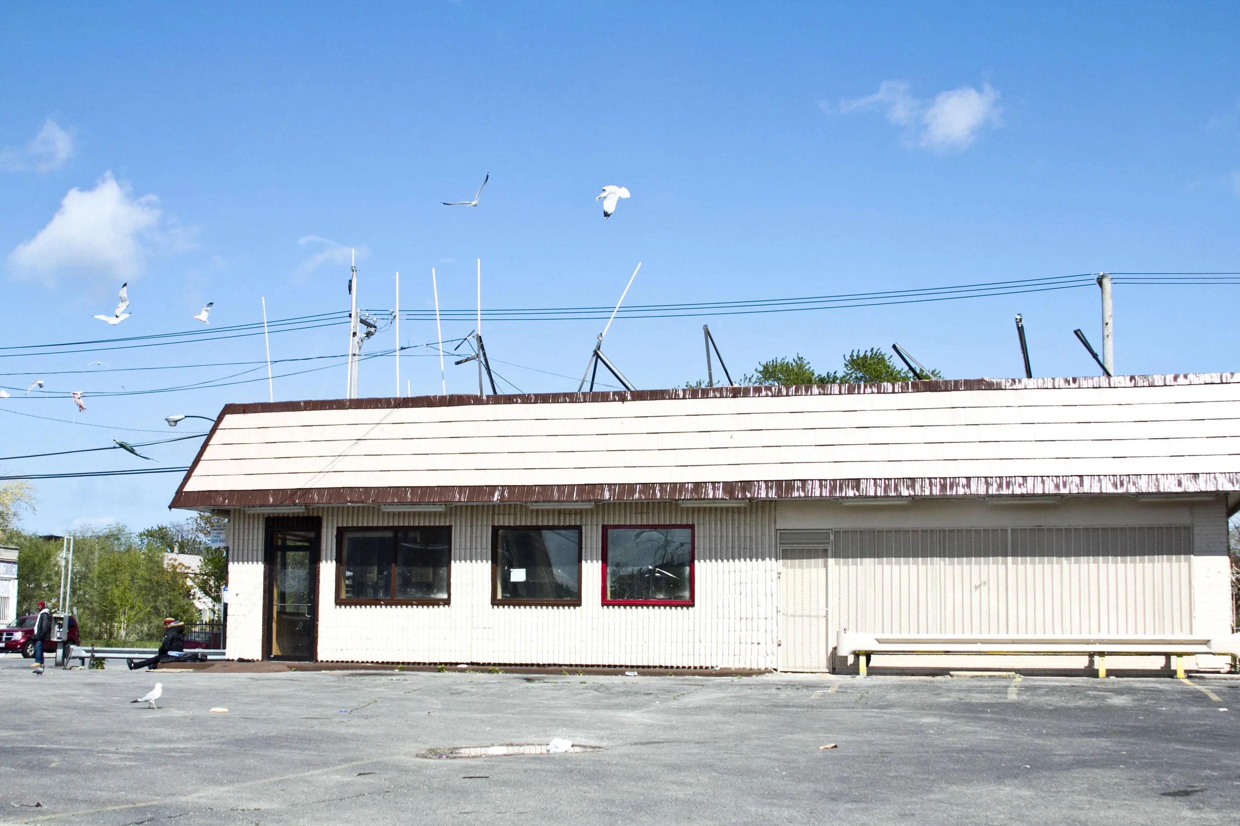 IMG_1349 as Smart Object-1.jpg