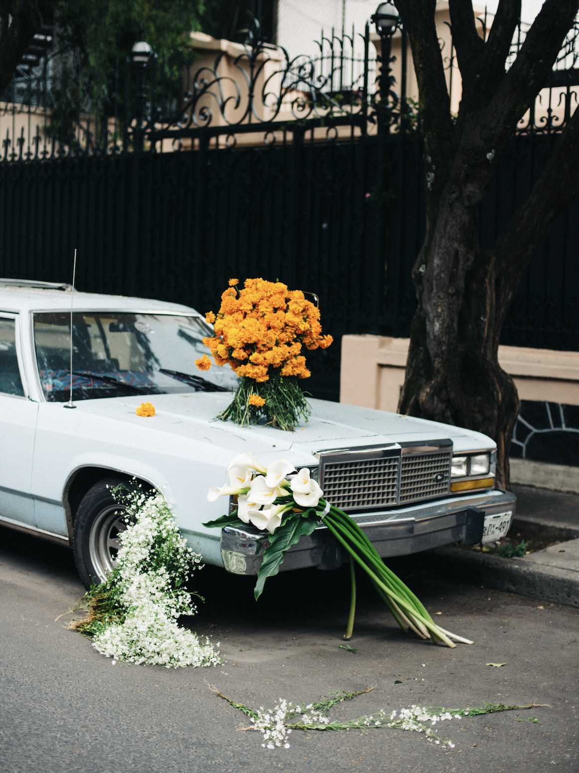 Jill Mitchell Photography