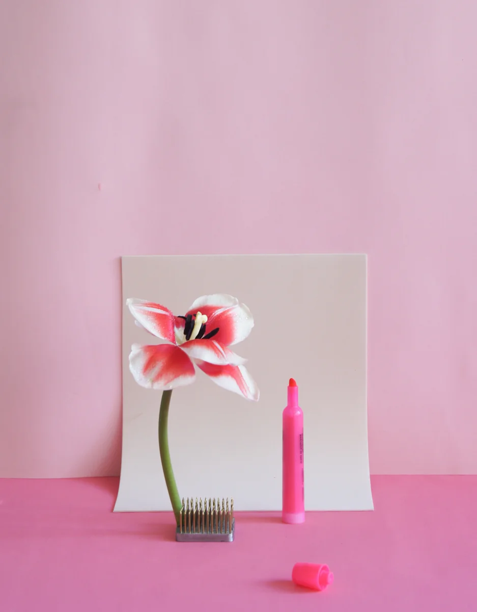 Pink Highlighter