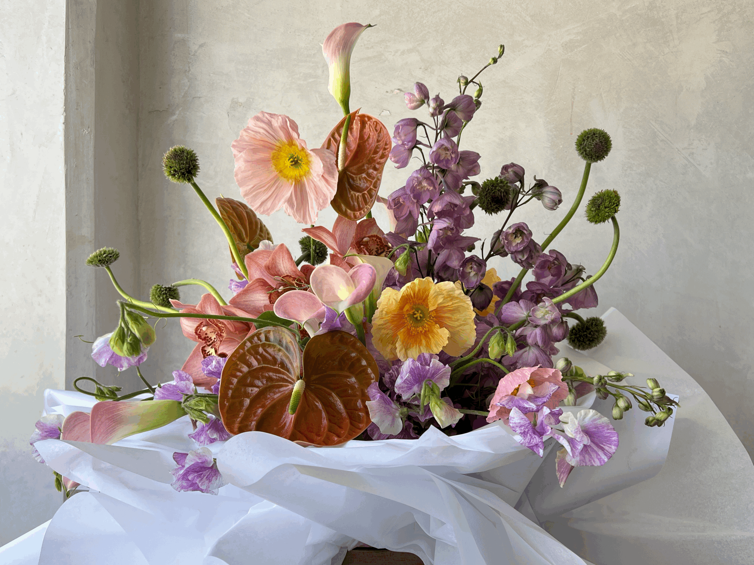 Designer's Choice | Colores vivos