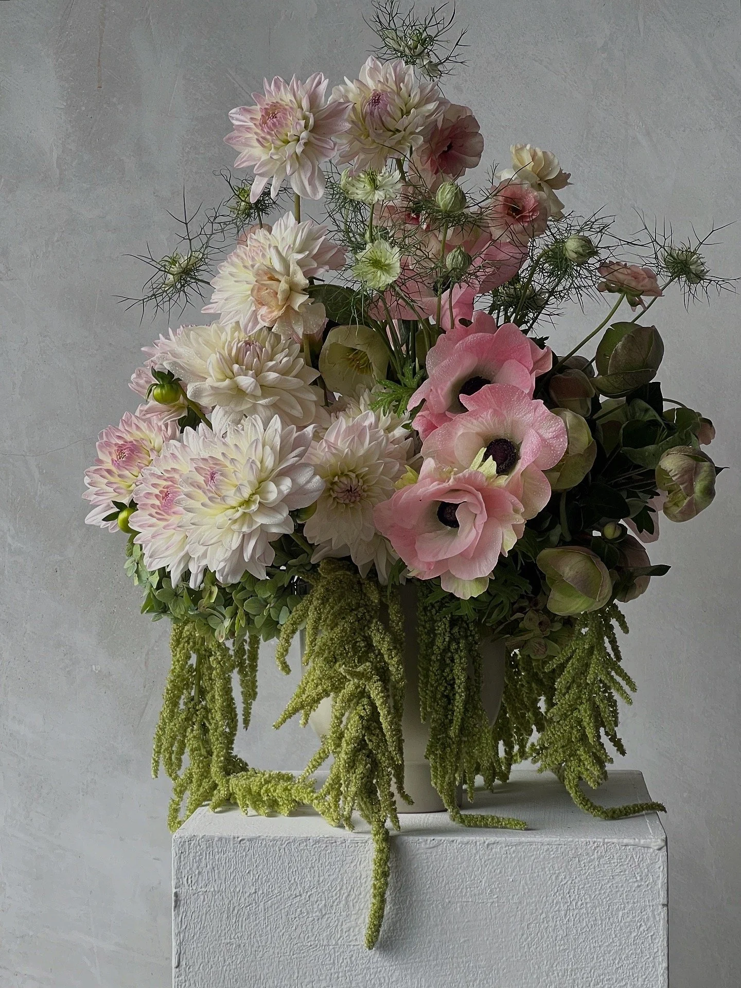 0F0D5763-B30A-468B-9F8B-4FB50149EB01 2.JPG