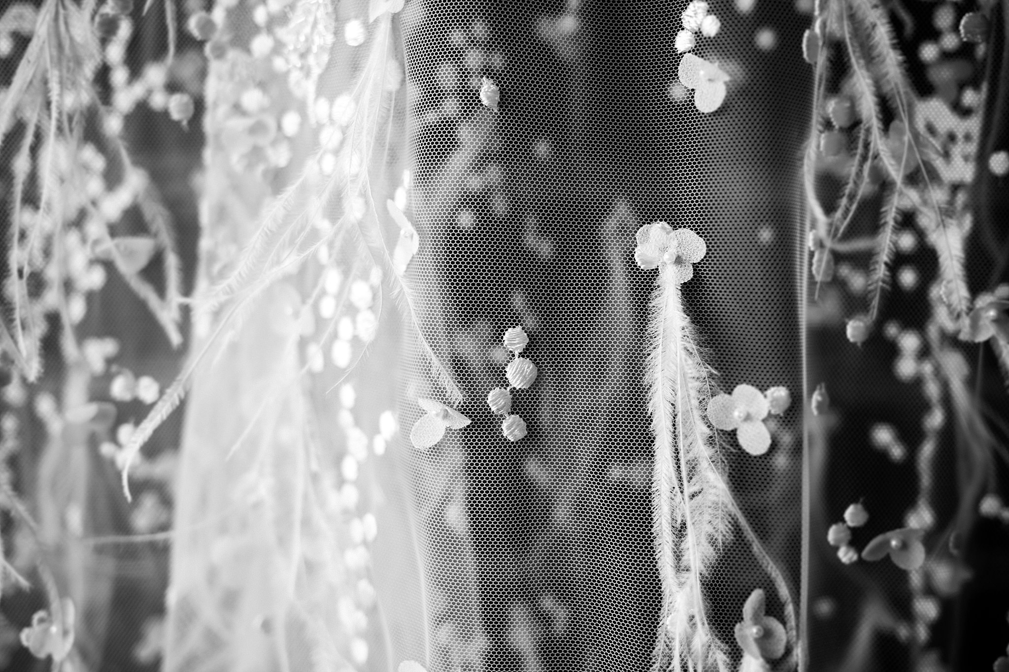 Lecinda Ward, Melbourne Wedding Photographer, Melbourne Aquarium_0132.jpg