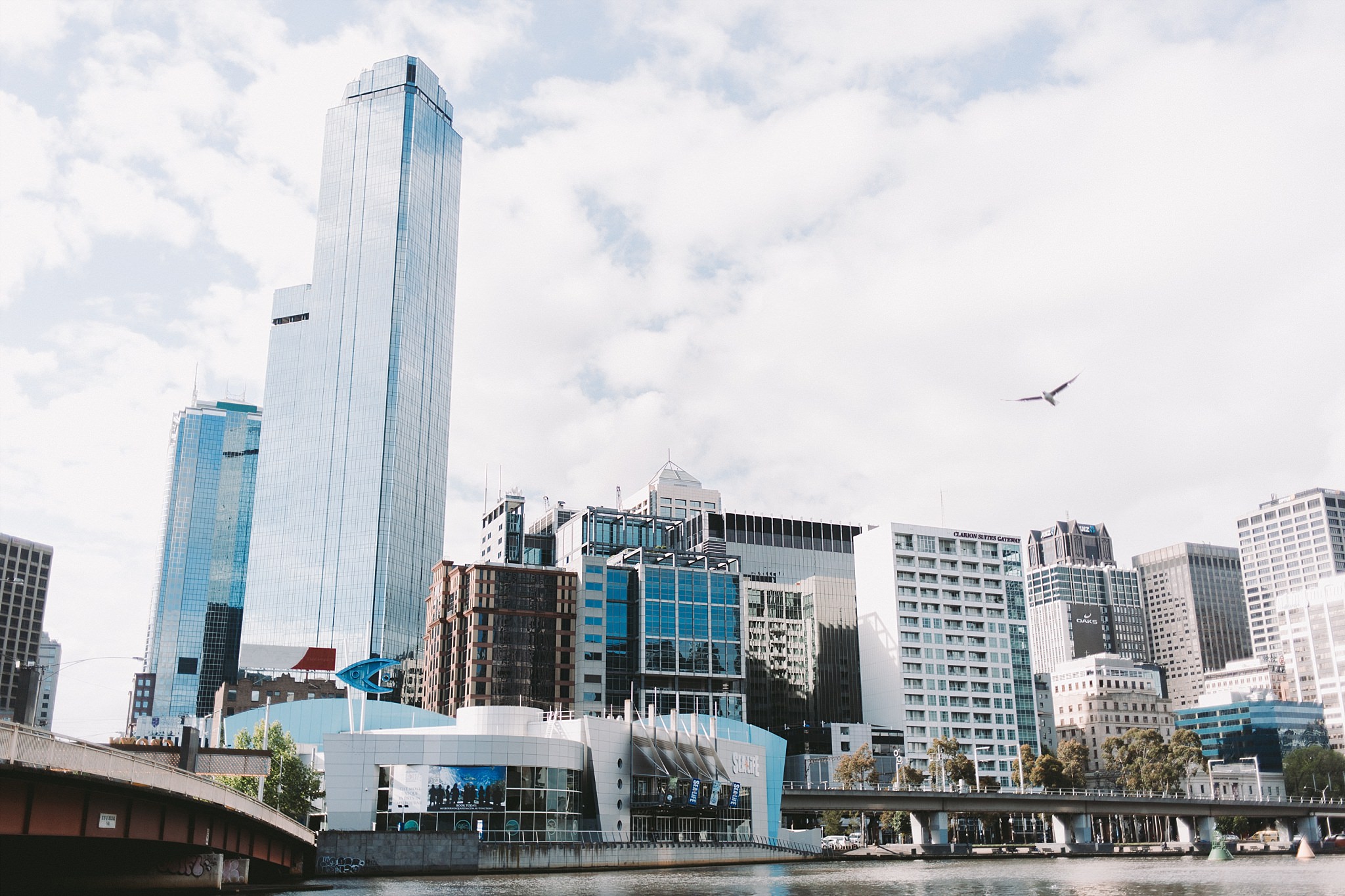 Lecinda Ward, Melbourne Wedding Photographer, Melbourne Aquarium_0223.jpg