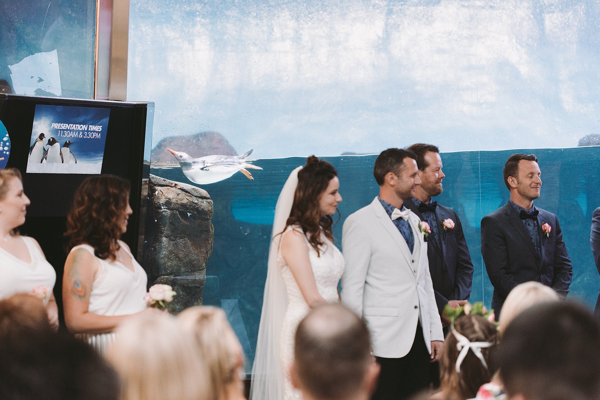 Lecinda Ward, Melbourne Wedding Photographer, Melbourne Aquarium_0242.jpg