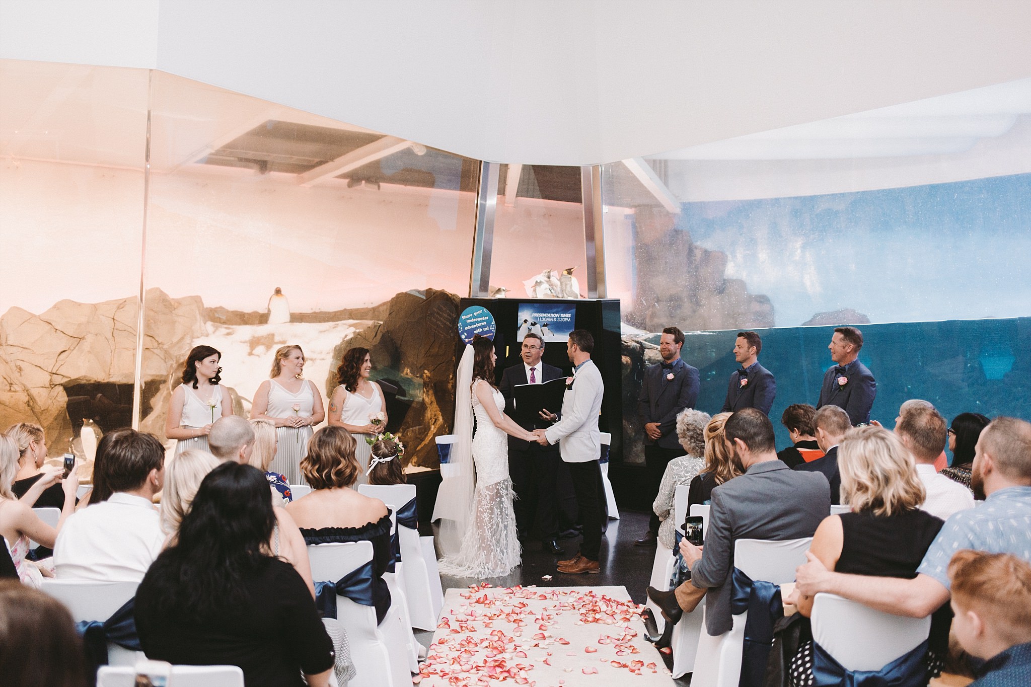 Lecinda Ward, Melbourne Wedding Photographer, Melbourne Aquarium_0244.jpg