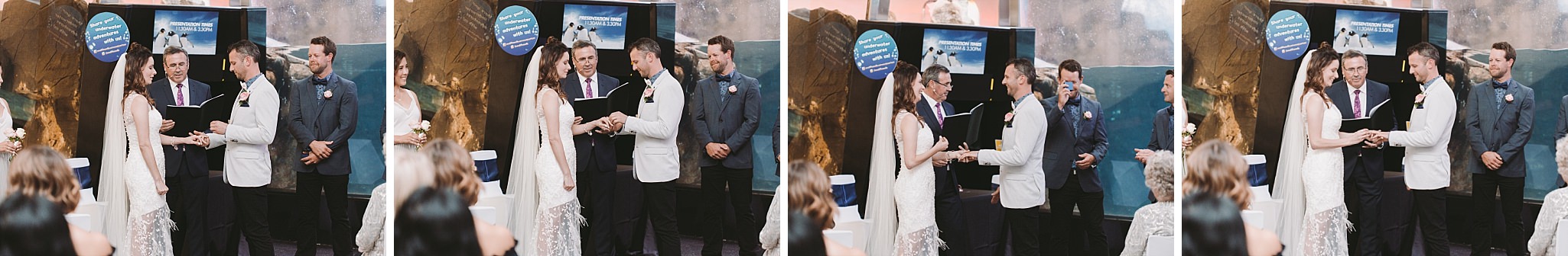 Lecinda Ward, Melbourne Wedding Photographer, Melbourne Aquarium_0247.jpg