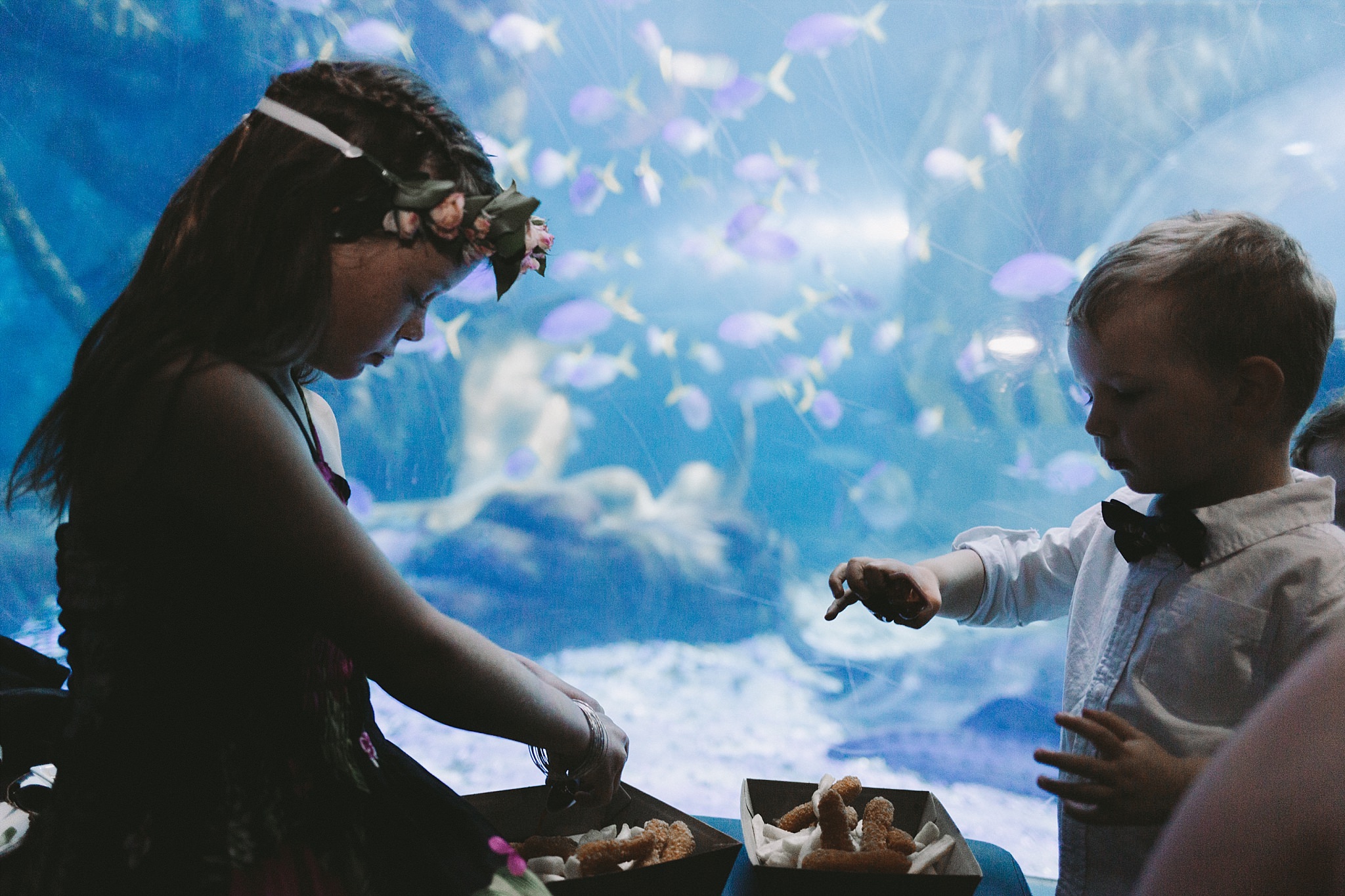Lecinda Ward, Melbourne Wedding Photographer, Melbourne Aquarium_0269.jpg