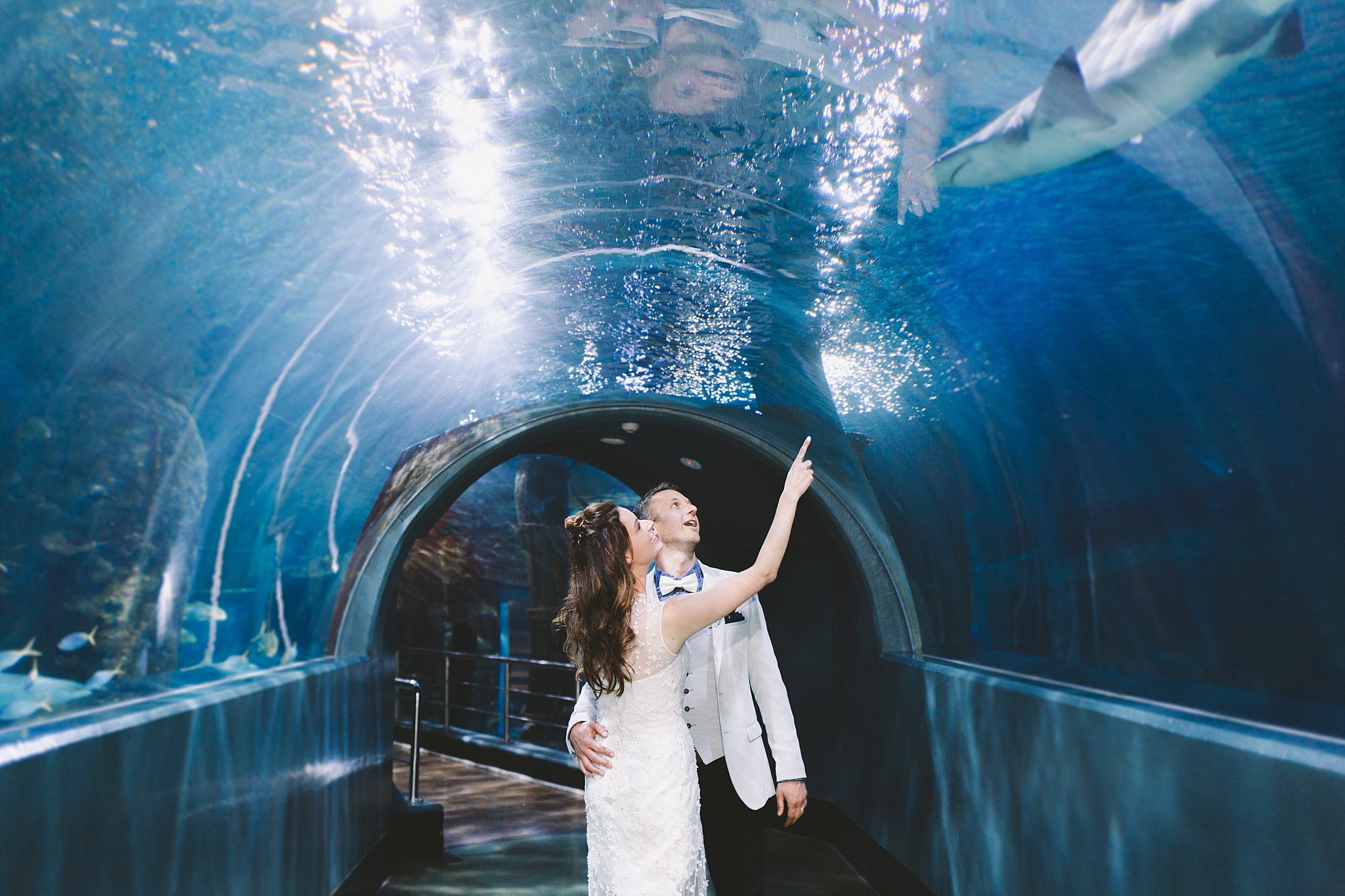 Lecinda Ward, Melbourne Wedding Photographer, Melbourne Aquarium_0270.jpg