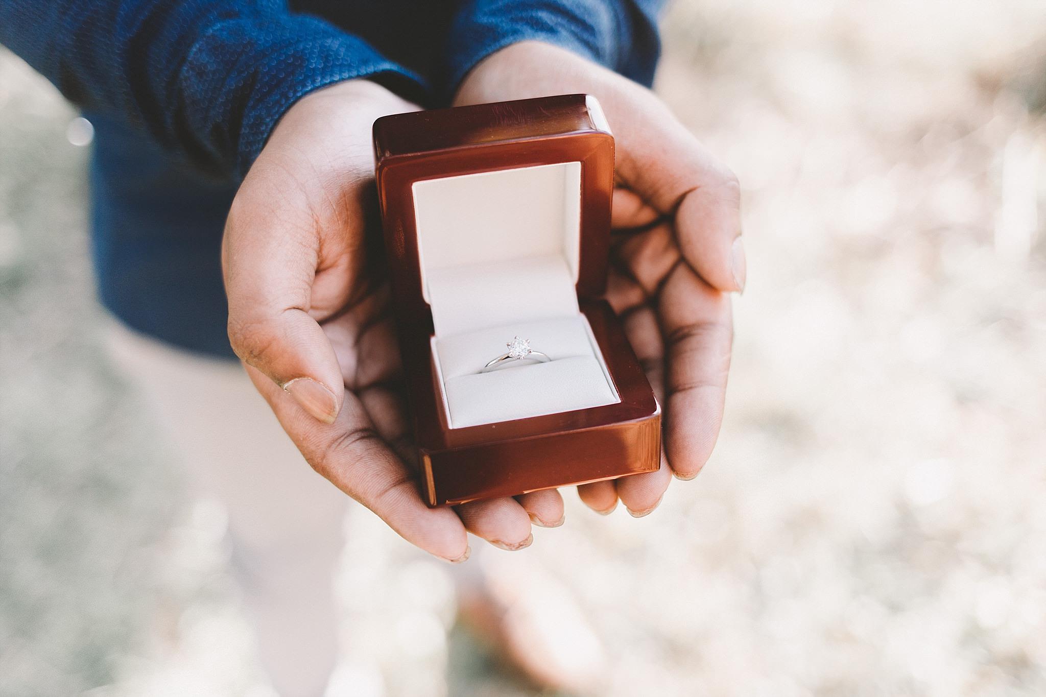 Dandenong Engagement Wedding Photographer-1.jpg