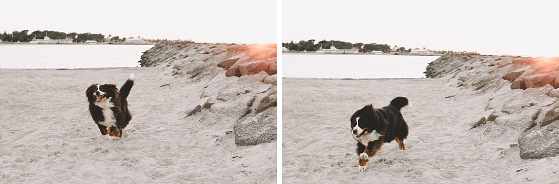Williamstown Candid Natural Family Photographer-3.jpg