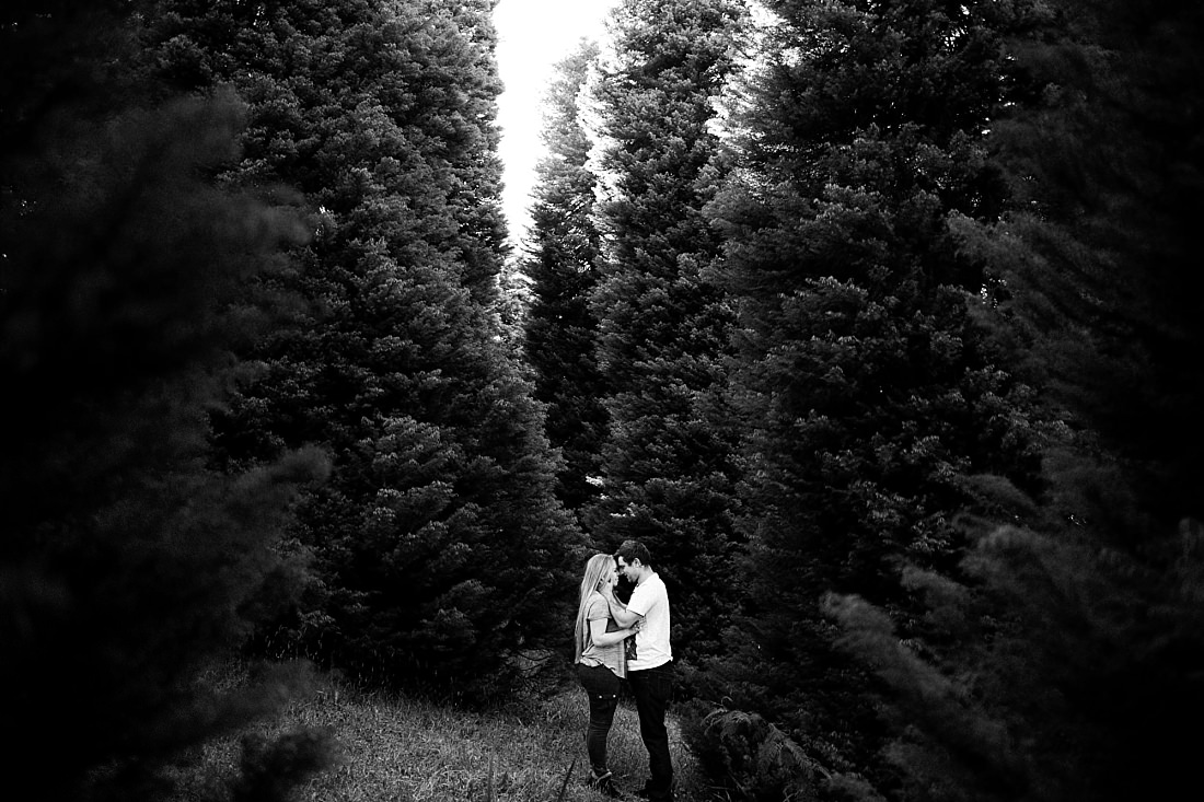 Dandenong RJ Hamer Aboretum Engagement Wedding Photographer-27.jpg