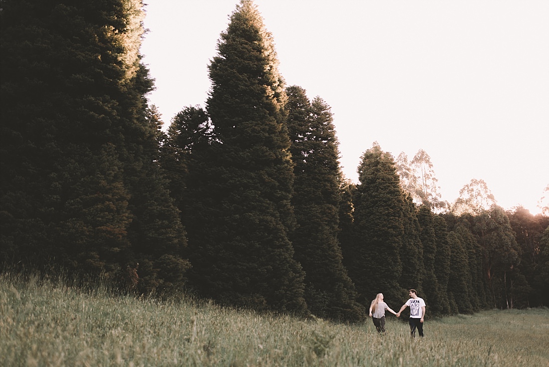 Dandenong RJ Hamer Aboretum Engagement Wedding Photographer-35.jpg