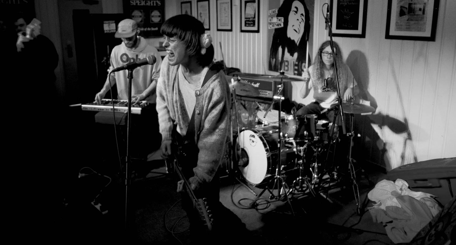 sheep press shot.jpg